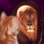 نقش باورها در زندگی